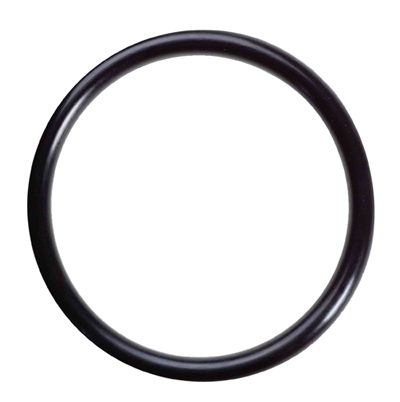 CAT PUMP O-RING