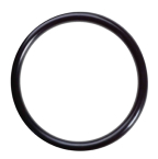 CAT PUMP O-RING
