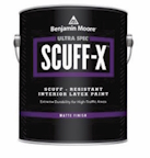 PROFESSIONAL COATINGS